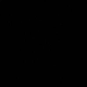 Meet your Posher, Ashanti